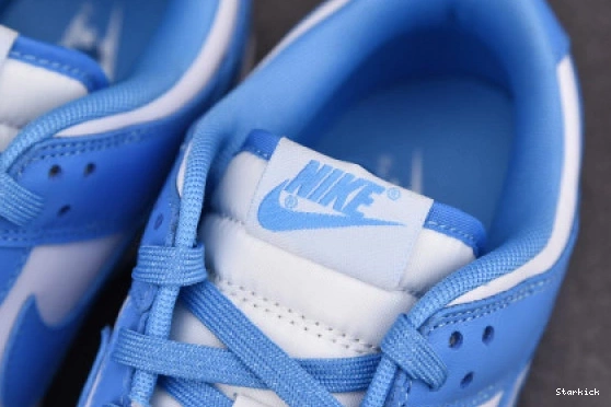 Dunk DD1391-102 Blue Low Nike University 0820